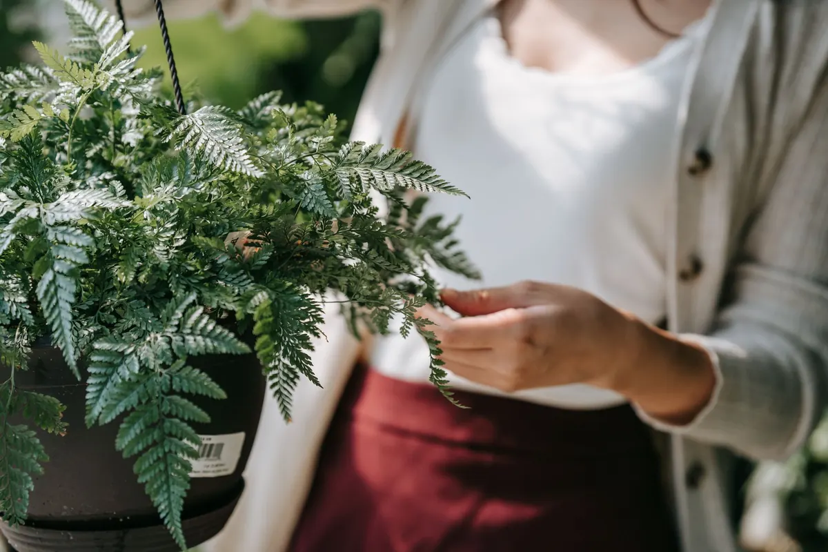 Checklist: 10 Common Fern Care Mistakes and How to Fix Them