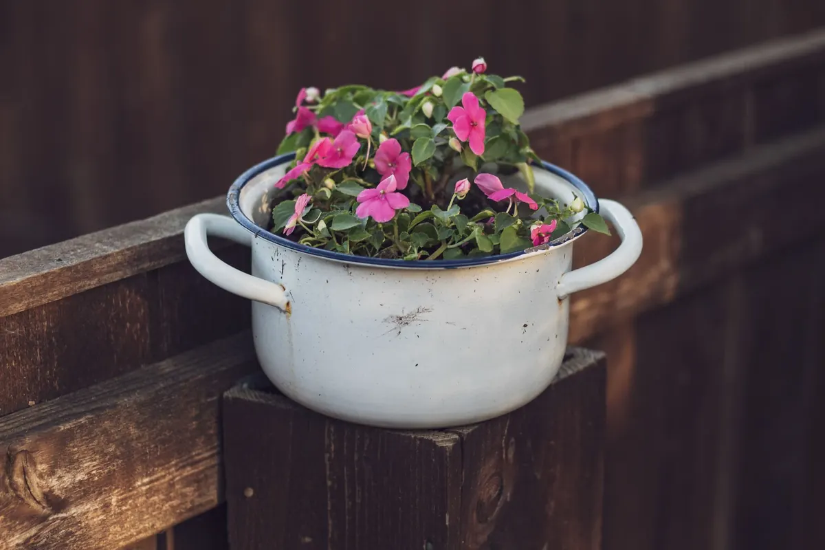 How to Create a Wildlife-Friendly Container Garden in a Weekend