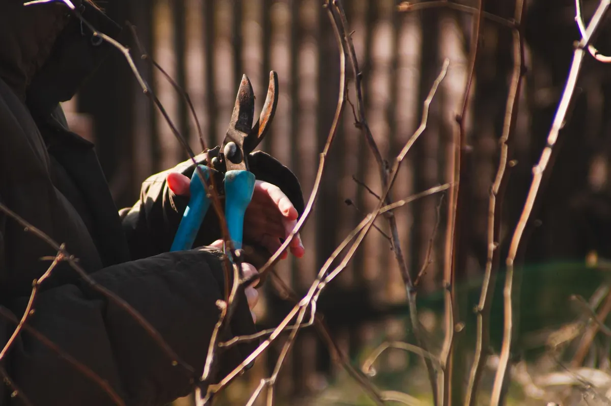 Seasonal Checklist: Sustainable Garden Jobs for Each UK Month